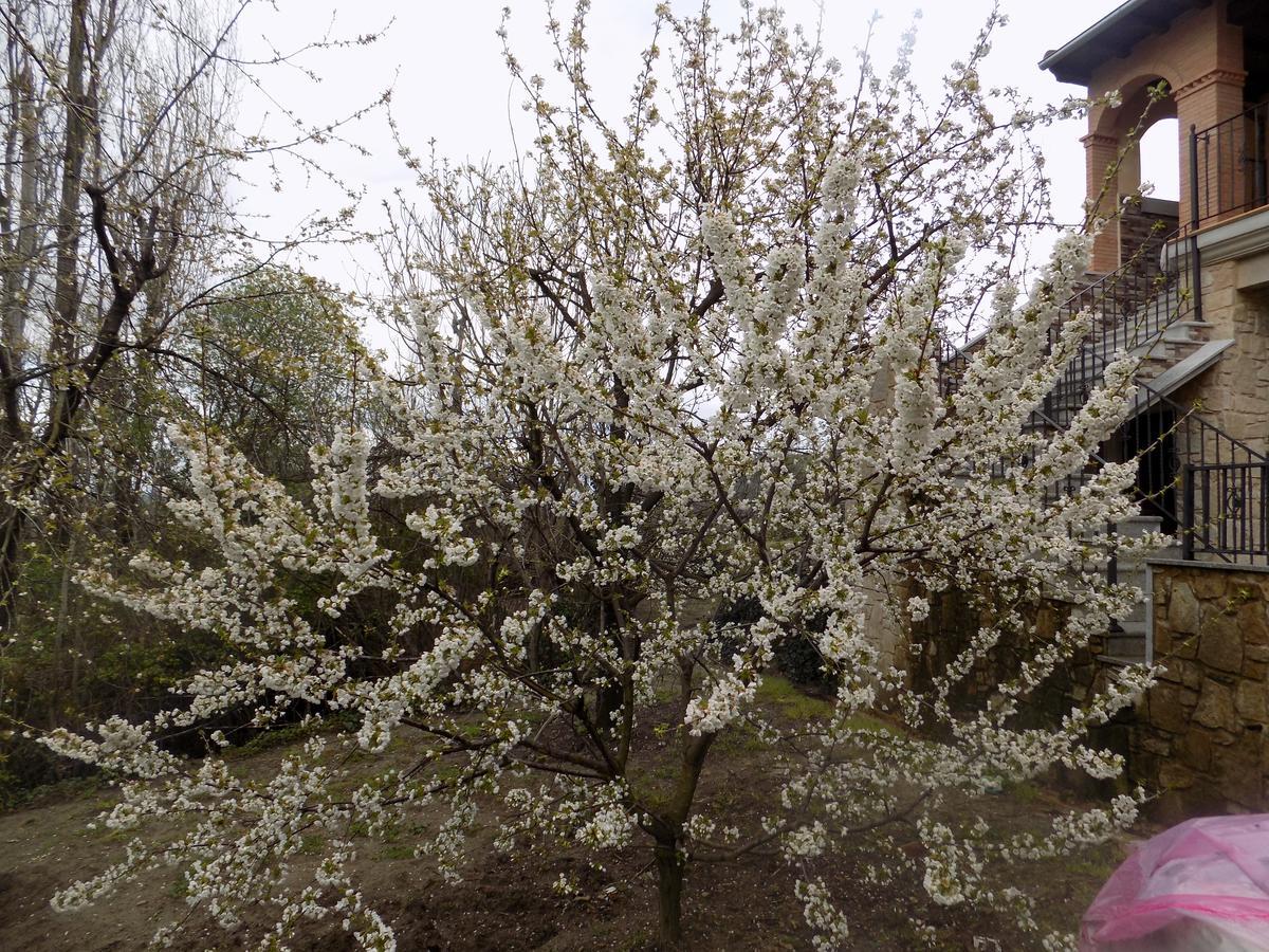 Casa Rural Generoso Madronal Zewnętrze zdjęcie